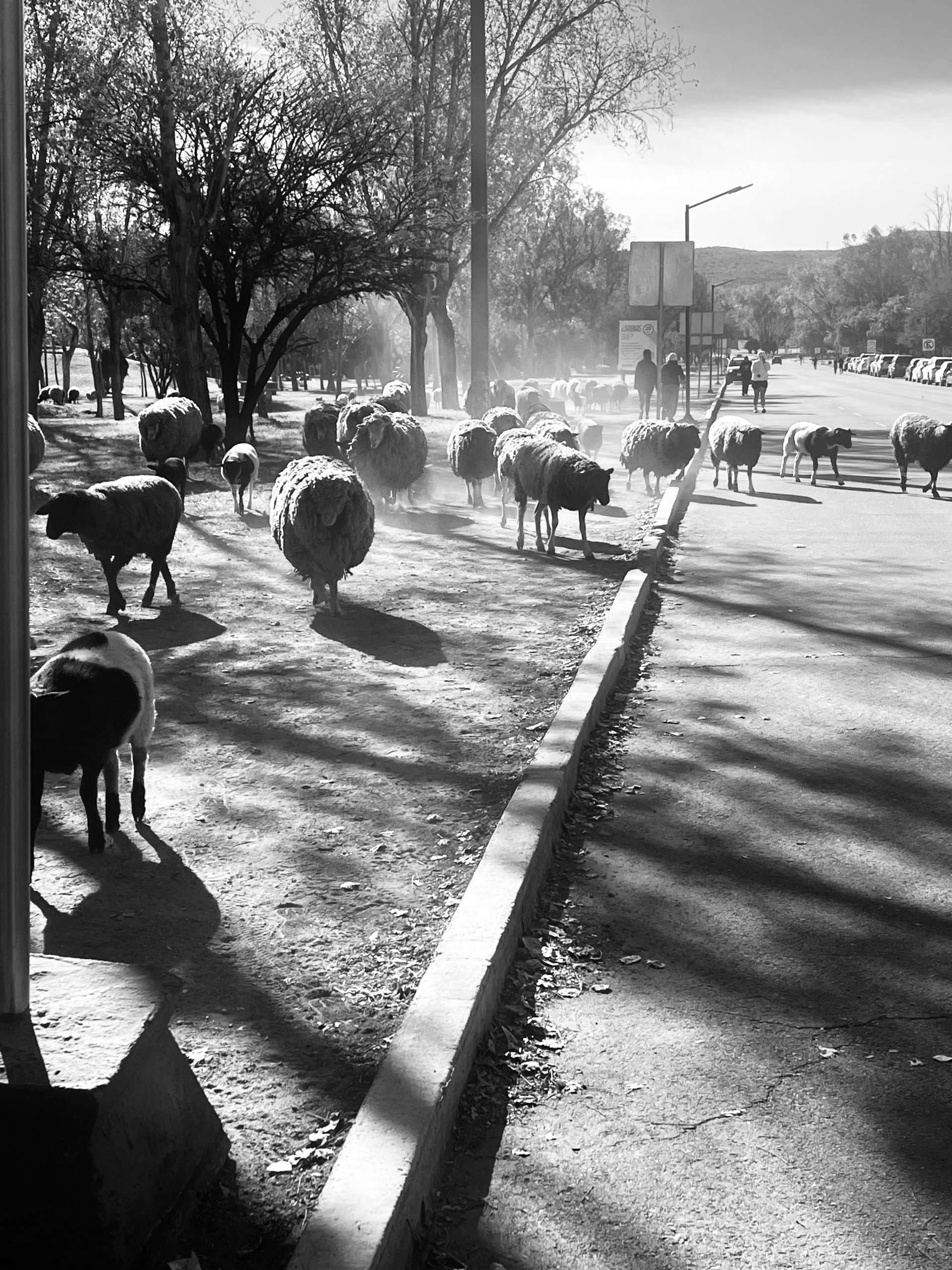 street observation